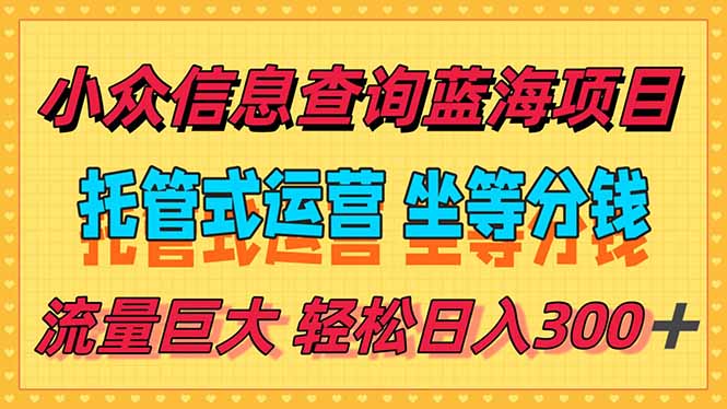 （15216期）稳定日入300＋，小众信息查询蓝海项目，全程懒人式托管，解放你的时间-老K资源网