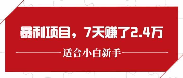 最新暴利项目，每单收益轻松在300以上，7天赚了2.4万-老K资源网