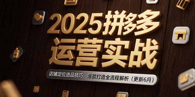 （15235期）2025拼多多运营实战：店铺定位选品技巧，爆款打造全流程解析（更新6月）-老K资源网