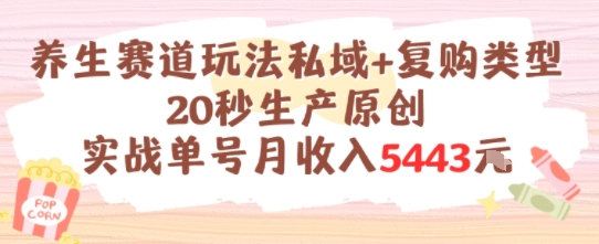 养生赛道玩法私域+复购类型，20秒生产原创实战单号月收入5k+-老K资源网