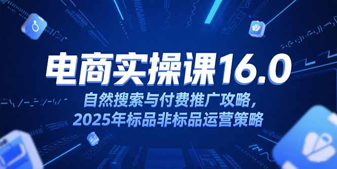 （15262期）淘宝电商运营课16.0，自然搜索与付费推广攻略，2025年标品非标品运营策略-老K资源网