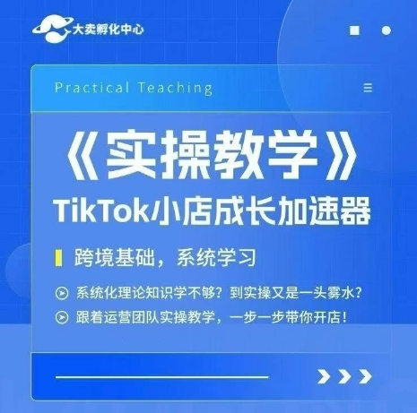 大卖家孵化中心TikTok实操课，TikTok小店成长加速器，跨境基础系统学习，一步一步带你开店-老K资源网