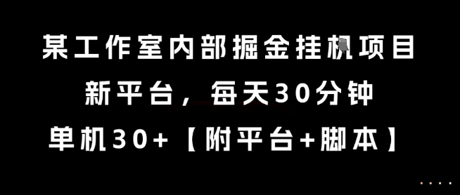 某工作室内部掘金挂G项目，新平台，每天30分钟，单机30+-老K资源网