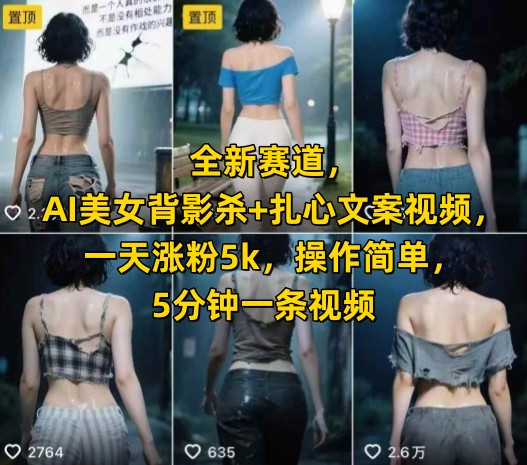 全新赛道，AI美女背影杀+扎心文案视频，一天涨粉5k，操作简单，5分钟一条视频-老K资源网
