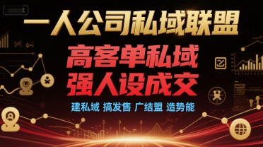 一人公司私域联盟，高客单私域，强人设成交，建私域 搞发售 广结盟 造势能-老K资源网