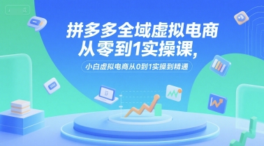 拼多多全域虚拟电商从零到1实操课，小白虚拟电商从0到1实操到精通-老K资源网