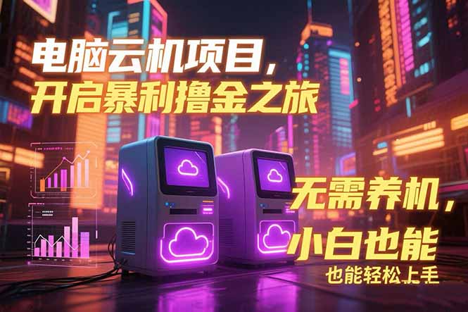 电脑云机项目 暴力撸金玩法，不需要养机 配置没有要求 单机100个窗口一…-老K资源网