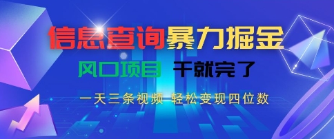 信息查询暴力掘金，一天三条视频，轻松变现四位数，风口项目干就完了-老K资源网