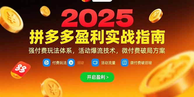 （15357期）拼多多盈利实战指南，强付费玩法，活动爆流技术，微付费破局方案(更新7月)-老K资源网