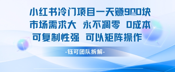 小红书冷门项目一天收益9张，市场需求大，0成本，可复制性强可以矩阵操作-老K资源网
