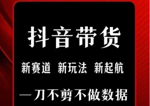 抖音短视频一刀不剪带货，不剪辑，不直播，每天发个视频，等着出单获取带货佣金-老K资源网