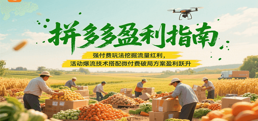 拼多多盈利指南：强付费玩法挖掘流量红利，活动爆流技术搭配微付费方案实现盈利跃升-老K资源网