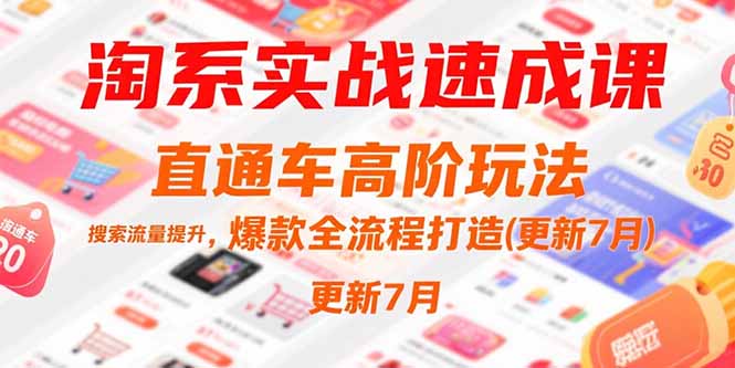 淘系实战速成课，直通车高阶玩法，搜索流量提升，爆款全流程打造(更新7月)-老K资源网