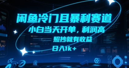 闲鱼冷门且暴利赛道，小白当天开单，利润高，照抄就有收益，日入1k+-老K资源网