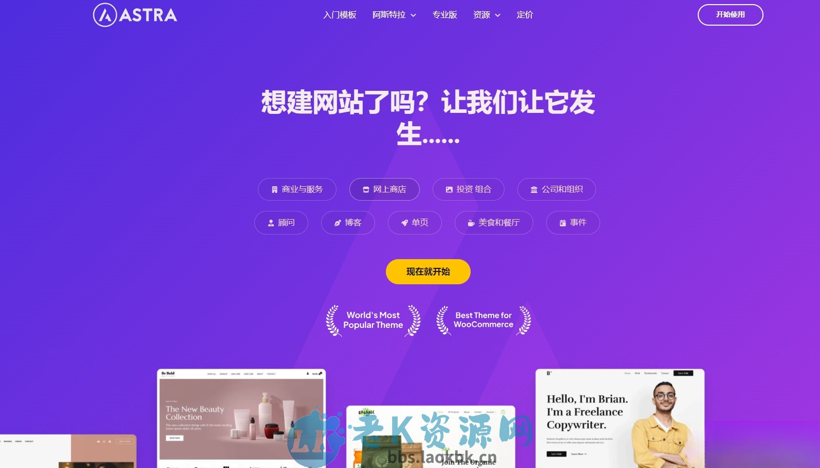 Astra独立站全套主题整理 带pro版插件-老K资源网