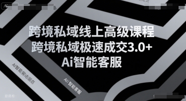 跨境私域线上高级课程，跨境私域极速成交3.0+Ai智能客服-老K资源网