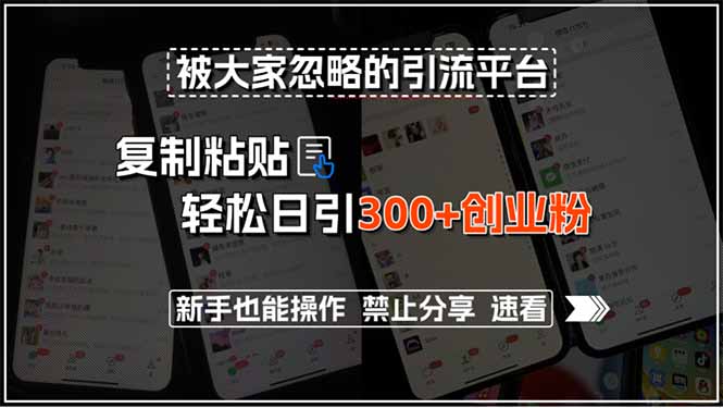 被大家忽略的引流平台，复制粘贴轻松日引300+创业粉，新手也能操作，禁…-老K资源网