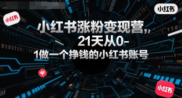 小红书涨粉变现营，21天从0-1做一个挣钱的小红书账号-老K资源网