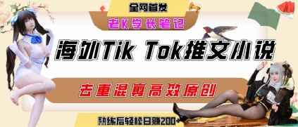海外tiktok小说推文暴力项目，高停留率，高转化率，上手后一天搞顿饭钱不是问题-老K资源网