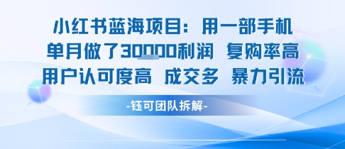 小红书蓝海项目，一部手机单月做了3W利润，小白也能月入过1W用户认可度高成交多-老K资源网