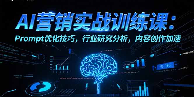 AI营销实战训练课：Prompt优化技巧，行业研究分析，内容创作加速-老K资源网