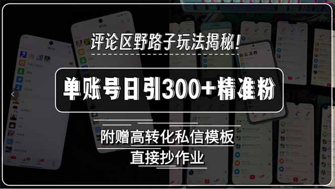 评论区野路子玩法揭秘！单账号日引300+精准粉，附赠高转化私信模板，直…-老K资源网