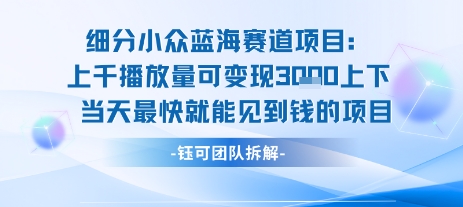 小众蓝海赛道项目：当天变现1k+适合新手操作 +适合长期玩-老K资源网