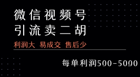 视频号卖二胡教程，利润大 易成交 售后少，一单利润5张+-老K资源网