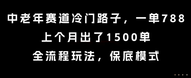 中老年赛道冷门路子，一单788，上个月出了1500单，全流程玩法，保底模式-老K资源网