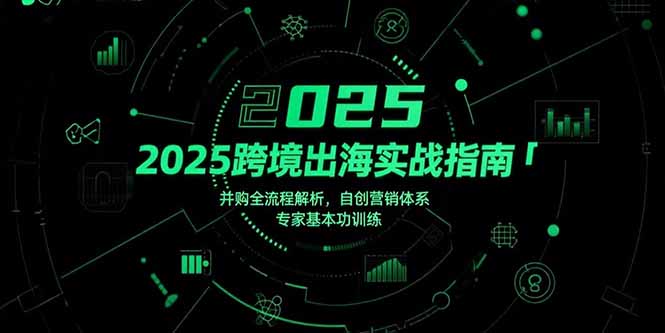 2025跨境出海实战指南，并购全流程解析，自创营销体系，专家基本功训练-老K资源网
