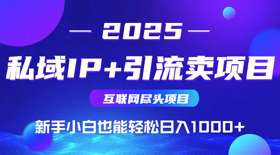 2025网创尽头项目，私域IP+引流，新手小白也能在家日入1000+-老K资源网