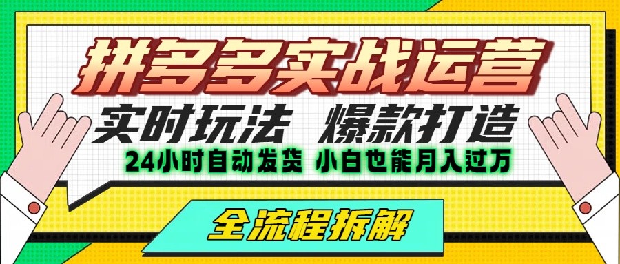 拼多多最新实战运营高投产：长久稳定项目，单店利润一天三位数-老K资源网