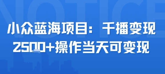小众蓝海项目，千播变现2.5k+操作当天可变现-老K资源网