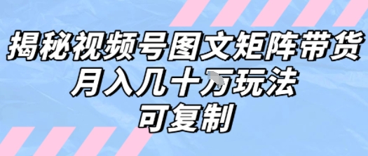 解密视频号图文矩阵带货，月入几个W的打法，可复制-老K资源网