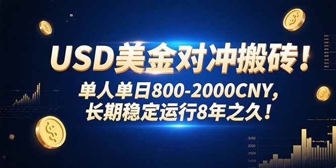 USD美金对冲搬砖!单人单日800-2000CNY，长期稳定运行8年之久!-老K资源网