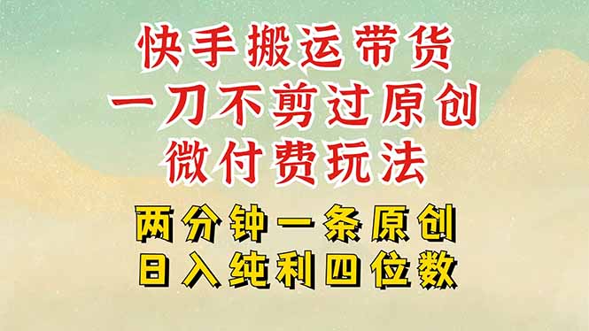 快手黑科技搬运带货，一刀不剪过原创，微付费投流玩法，轻松日入四位数…-老K资源网