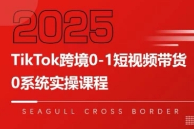 TikTok跨境0-1短视频带货，系统拆解TikTok跨境带货全链路，实现跨境可持续盈利-老K资源网