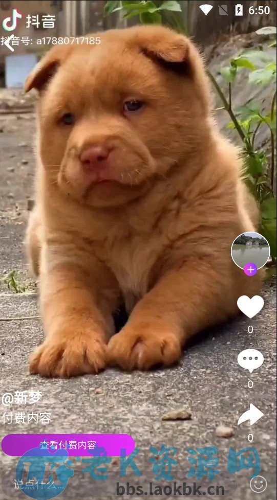 图片[5]-新直播短视频带货完美运营APP源码 购物直播交友系统源码-老K资源网