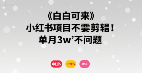 小白可来 小红书项目不需要剪辑 单月3w不是问题-老K资源网
