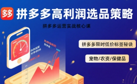 拼多多选品暴利技术实战课，拼多多高利润选品策略，拼多多限时低价标签秘诀-老K资源网