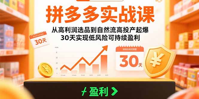 拼多多实战课：从高利润选品到自然流高投产起爆 30天实现低风险可持续盈利-老K资源网