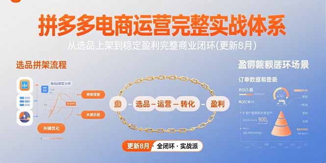 拼多多电商运营完整实战体系，从选品上架到稳定盈利完整商业闭环(更新8月)-老K资源网