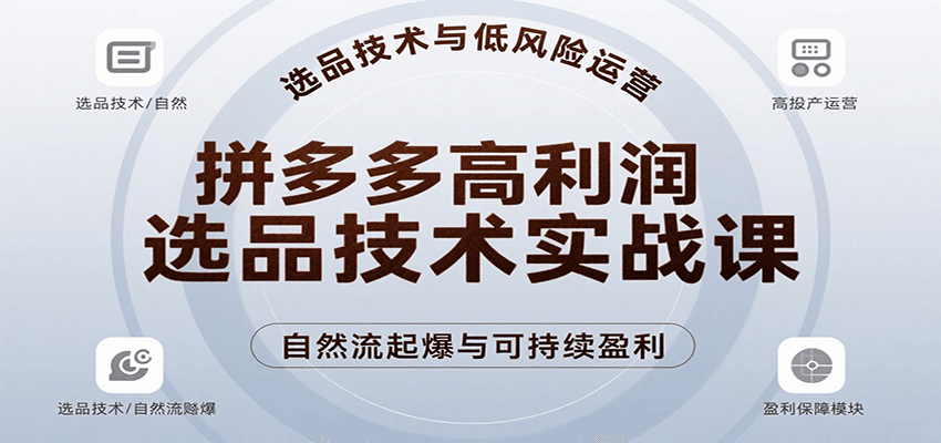 拼多多高利润选品技术实战课，手把手教学自然流高投产起爆，实现低风险可持续盈利-老K资源网