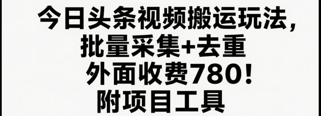 今日头条视频搬运玩法，软件一键去重，轻松日入500+附项目工具-老K资源网