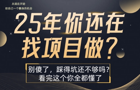 25年，你还在疯狂的找项目吗？别傻了，看完这个你都懂了-老K资源网