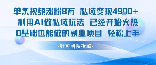 单条视频私域变现4.9k+利用AI做私域玩法 已经开始火热0基础也能做的副业项目轻松上手-老K资源网