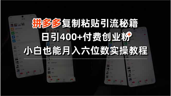 拼多多复制粘贴引流秘籍，日引400+付费创业粉，小白也能月入六位数实操…-老K资源网