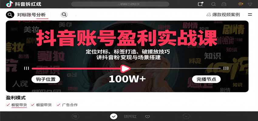 抖音账号盈利实战课，定位对标、标签打造、破播放技巧，讲涨粉变现与场景搭建-老K资源网