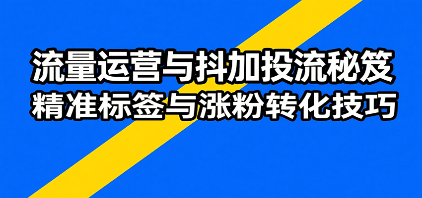 流量运营与抖加投流秘笈，含算法解析、爆款打造、精准标签与涨粉转化技巧-老K资源网