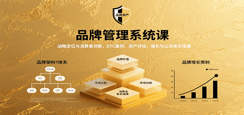 品牌管理系统课：战略定位与消费者洞察，DTC案例、资产评估，增长与公关体系搭建-老K资源网
